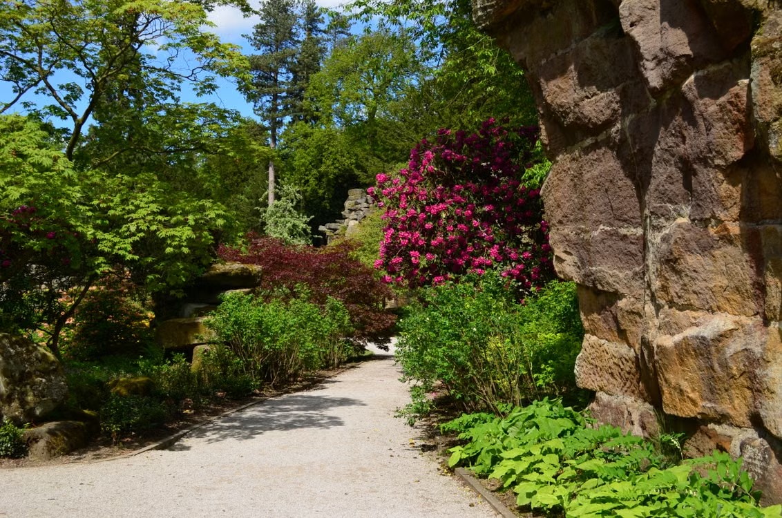 Allée fleurie dans un jardin verdoyant