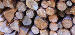 Bois de chauffage à 40 € le stère